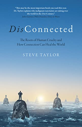 DisConnected: The Roots of Human Cruelty and How Connection Can Heal the World von John Hunt Publishing